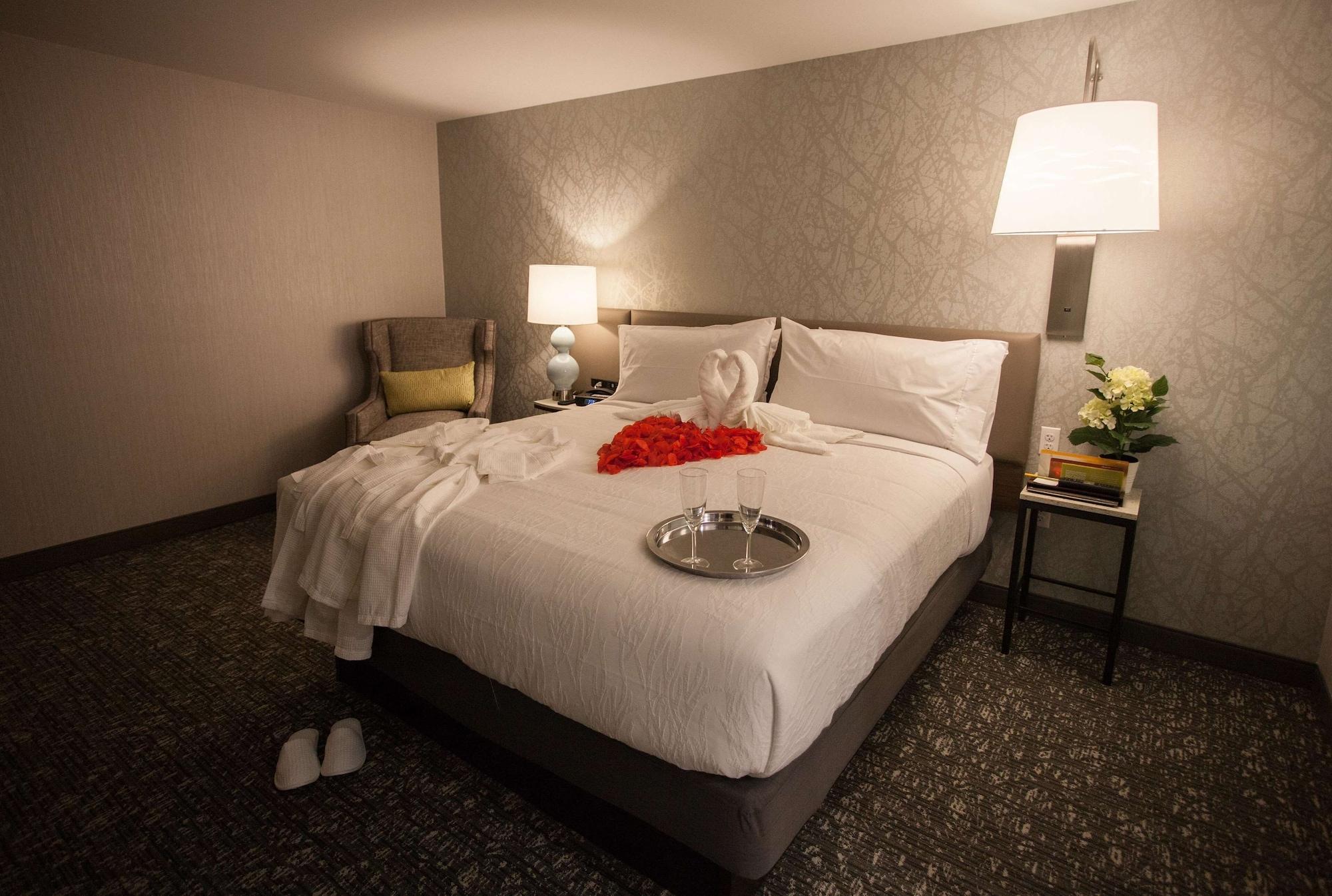 Hilton Garden Inn Springfield Dış mekan fotoğraf